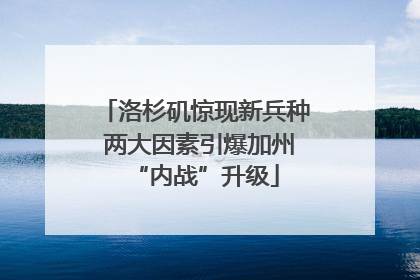 洛杉矶惊现新兵种 两大因素引爆加州“内战”升级